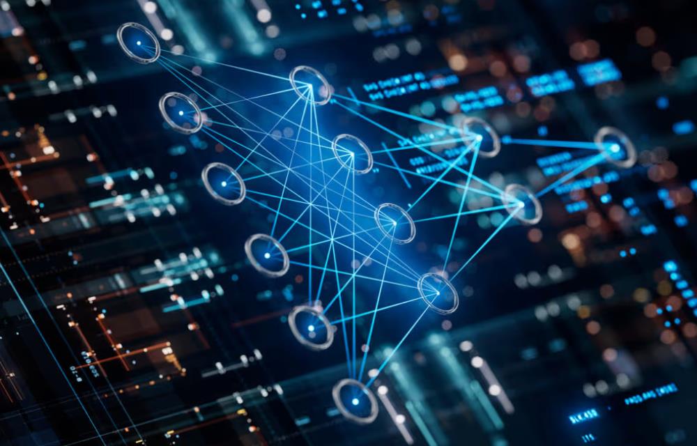 金明区网站建设人才抉择:你的开发团队,真的需要大学学位吗?